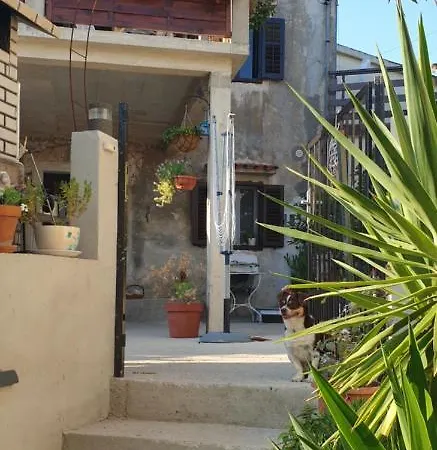 Apartment Opal